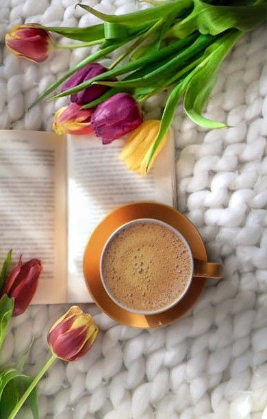 bae87f5bf5307a2fada641ee6fc2313e