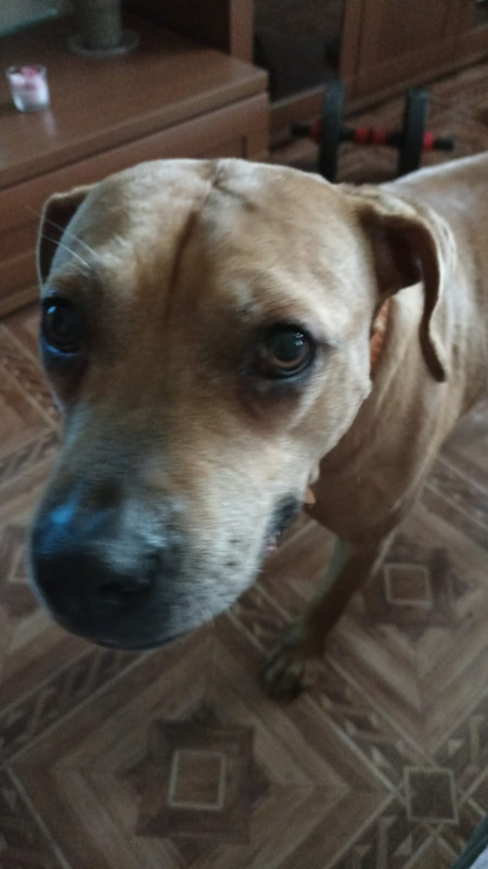 85BE5C7B-3F0D-49EB-B25D-D96175A76402