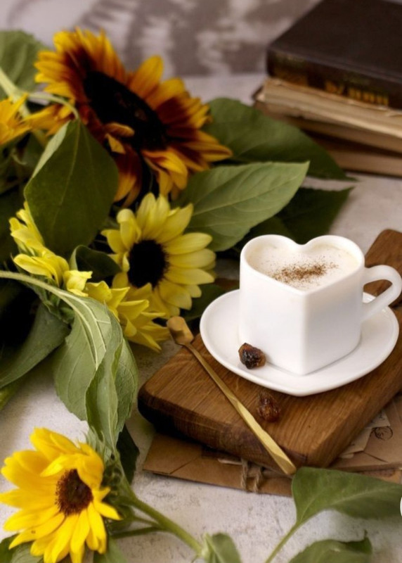 Screenshot_20230211_151012_Chrome