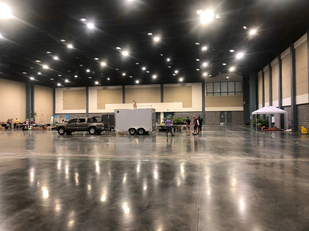MangoFest SetUp3