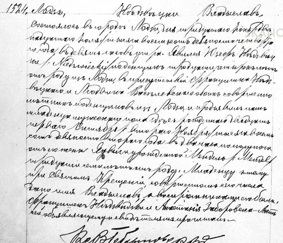 N (Jozef - Jadwiga Mendel) Wladislaw n1524