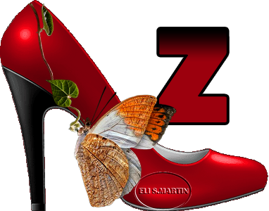 Zapato rojo pasion  Z