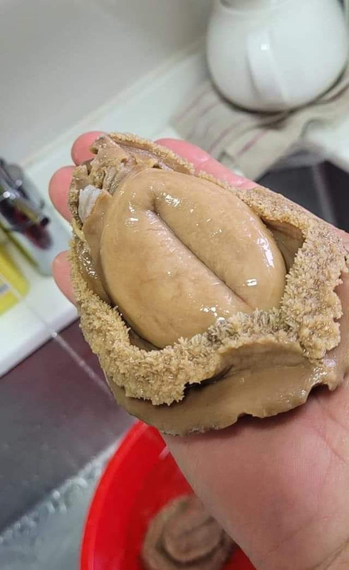 FB_IMG_1673450434795