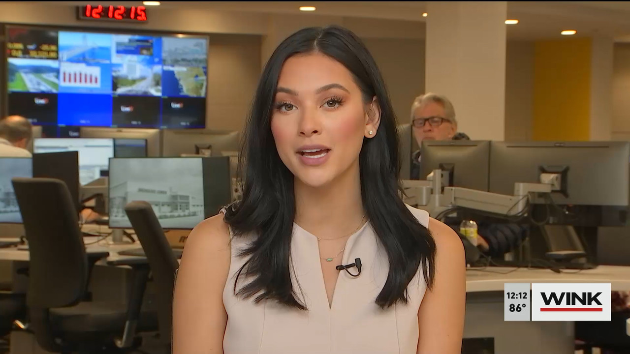 11.03 - 16.00.00 - The WINK Noon News  ᴺᵉʷ. Midday news update..ts_snapshot_18.37.314