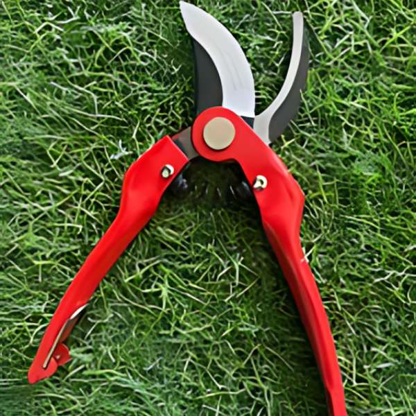 Foarfeca de Gradina 2