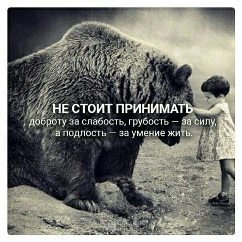 [Изображение: photo-2025-12-09-08-30-43.jpg]