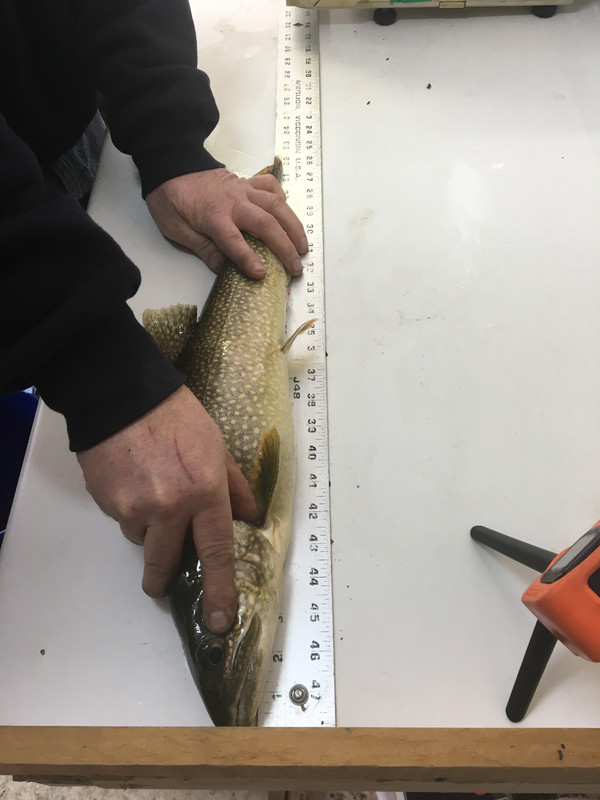 4026068D-EA12-484C-AAD8-A09F87652AED