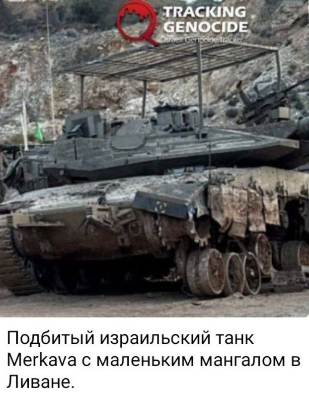 photo 2026 04 08 01 18 48