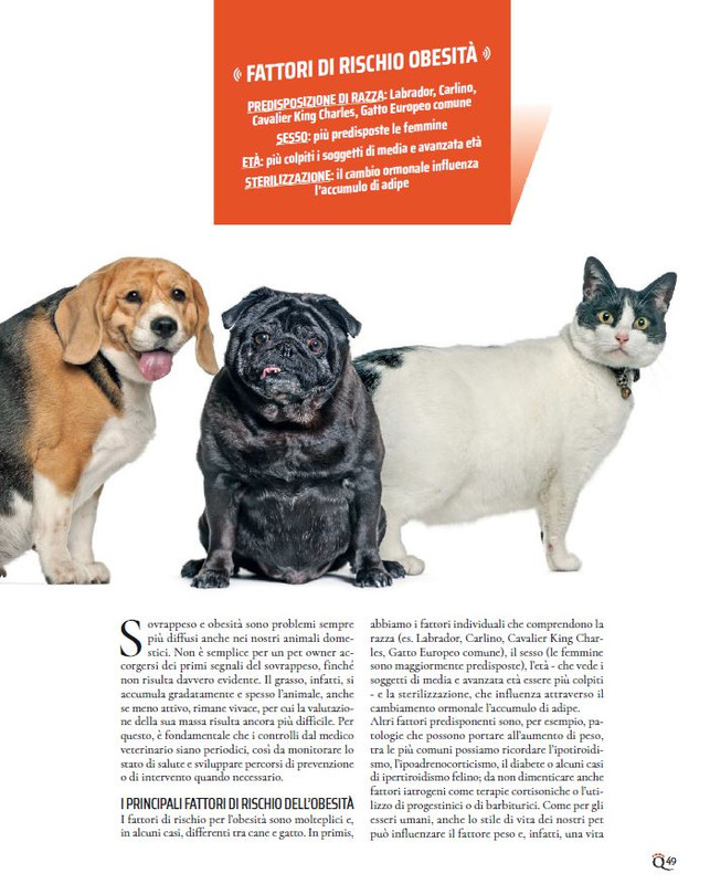 QuattroZampe Apr 2023 (6)