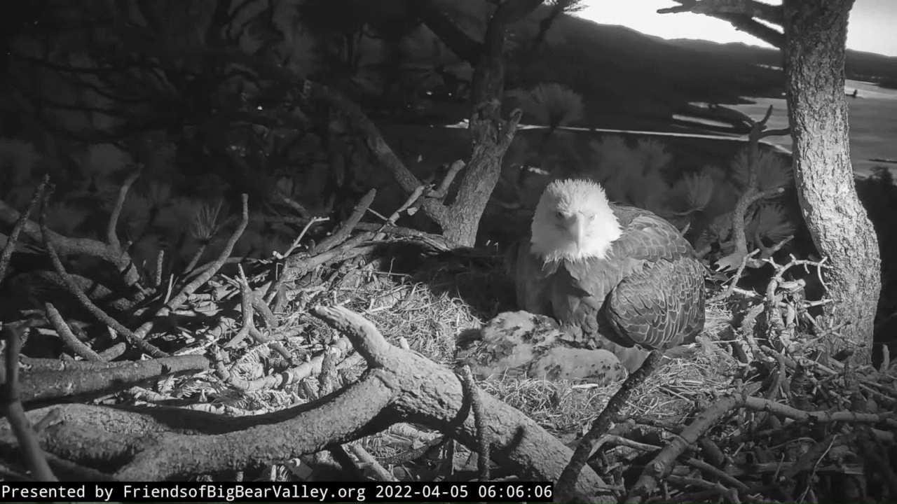 Webp.net-gifmaker (9)