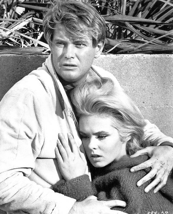 joey_heatherton_b41