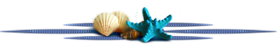 DD