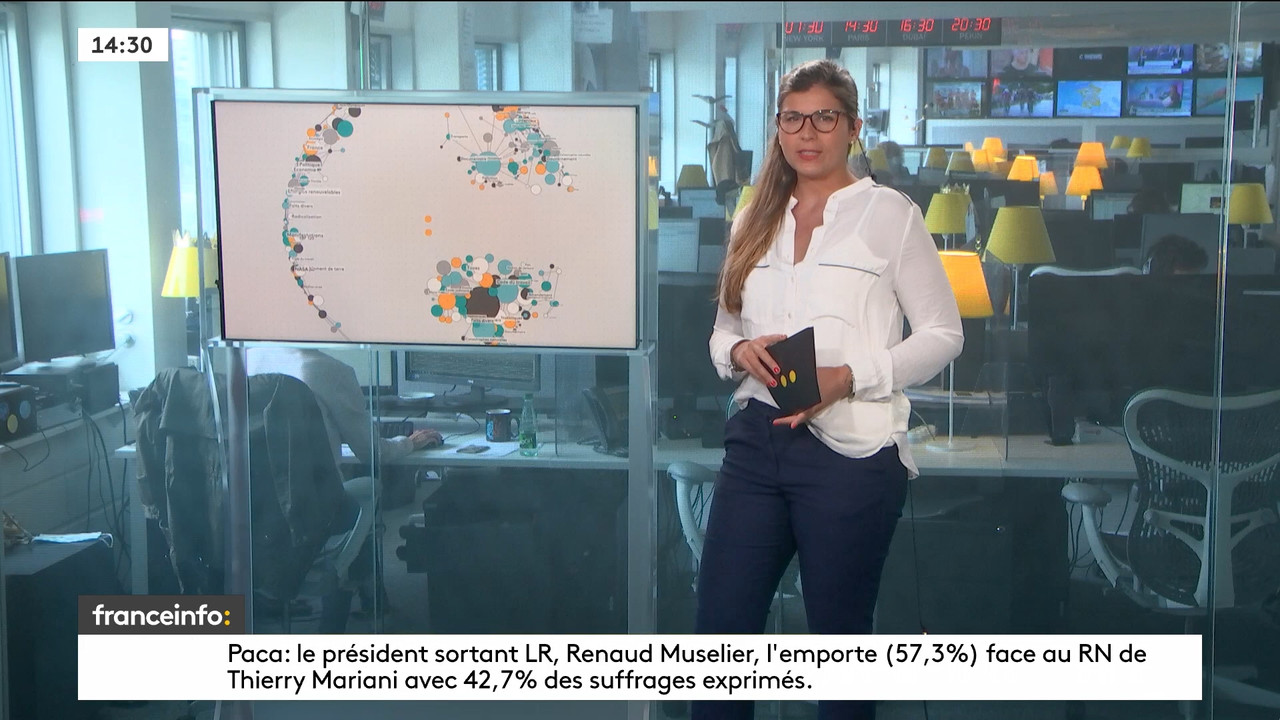 06.28 - 12.59.00 - Le 14h-17h. Au sommaire   Vrai ou fake. - francein....ts_snapshot_00.33.52.561