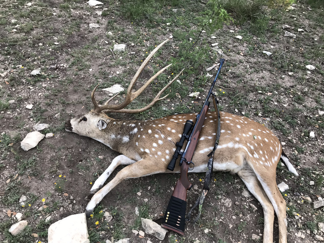 061A9A06-ECBE-477E-99B2-A4DC60A8661A