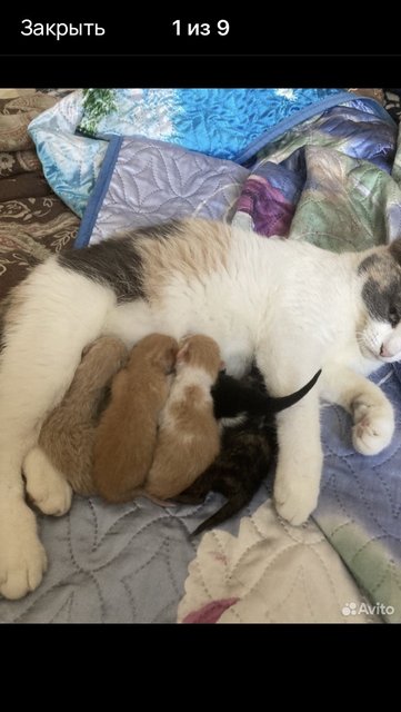 03EA8AB1-0189-4107-BB88-B739E0B6D635