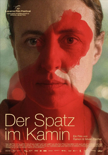 Wróbel w kominie / Der Spatz im Kamin (2024) PL | 360p | 480p | 720p | AC3.WEB-DL.XviD-GR4PE | DD2.0 | Lektor PL