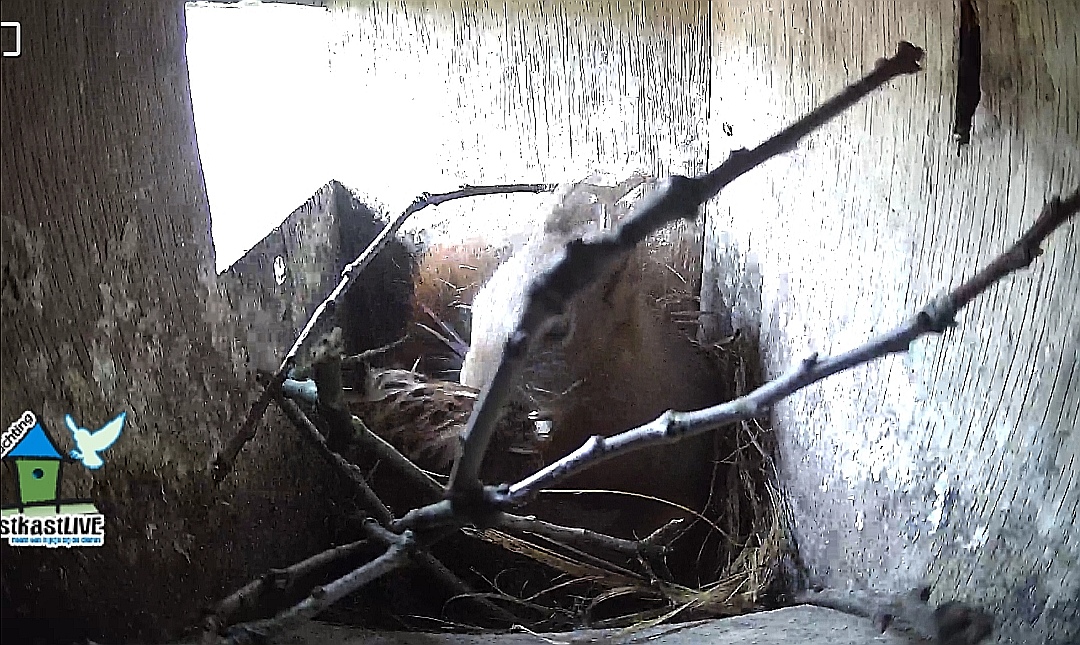 Screenshot 20260115 124400