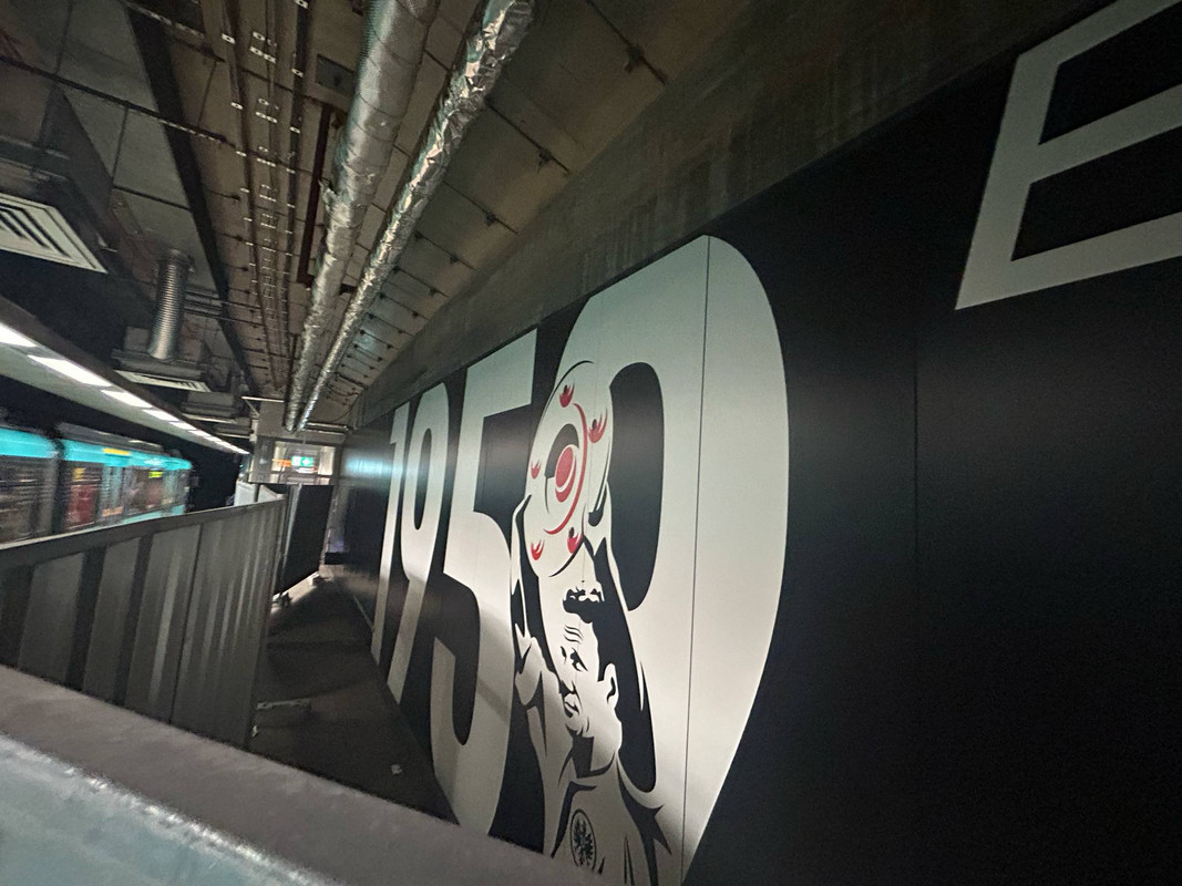 SGE3.jpg