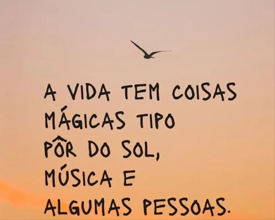 Captura-de-tela-2026-08-02-225219