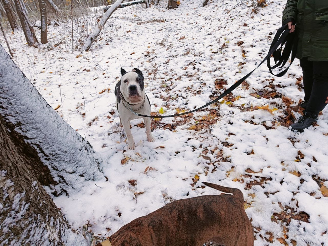 96BE19F0-9C3B-4149-B868-B884BA040C94