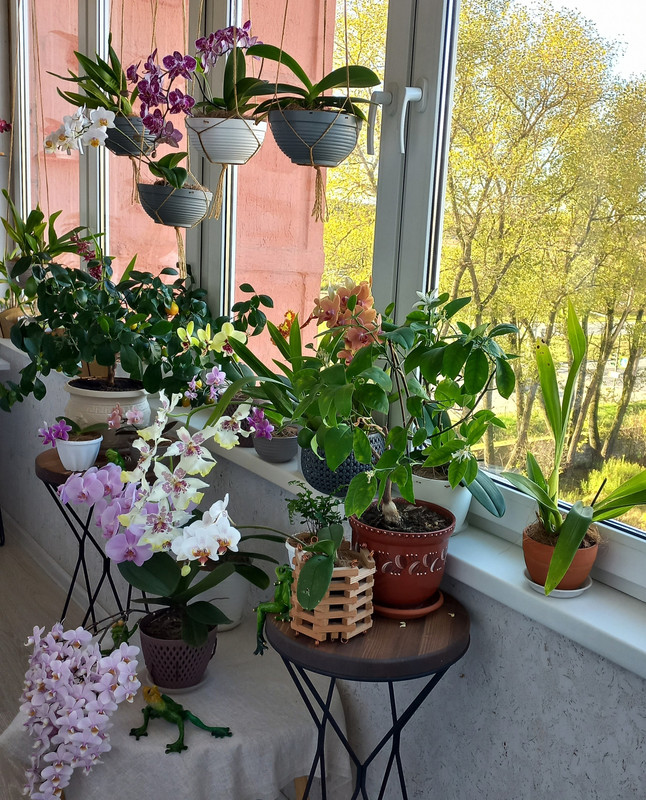 McojIAiszU8 — копия