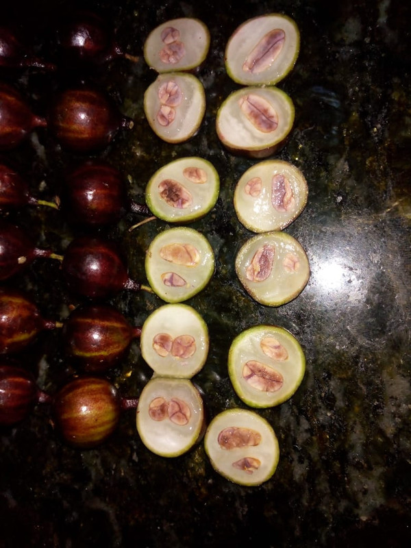 WhatsApp Image 2020-12-20 at 00.10.49 (7)