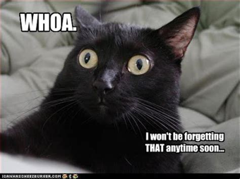 WHOA what has been seen...