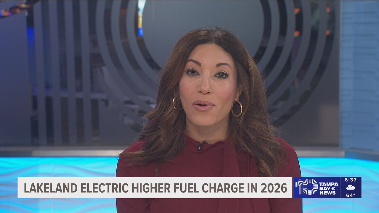 10 Tampa Bay News This Morning at 600 a m 20251118 11001200 ts snapshot 00 38 57 795