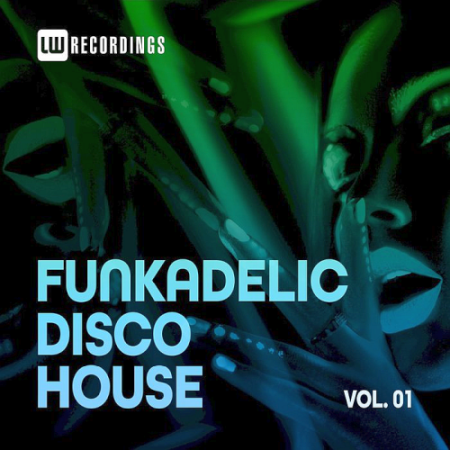 VA - Funkadelic Disco House 01 (2020)