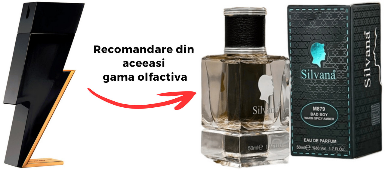 Parfum Silvana Bad BoyCarolina Herrera Bad Boy