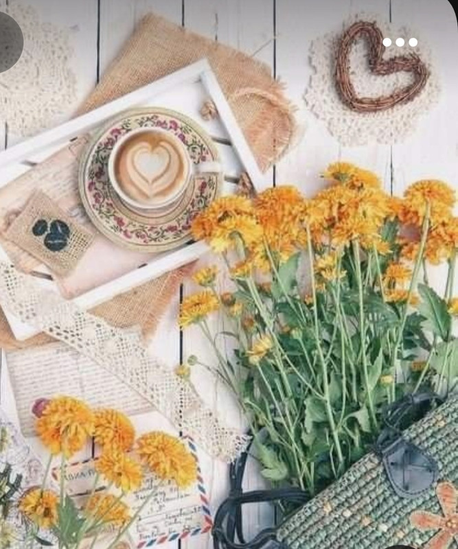 Screenshot_20230301_220411_Pinterest