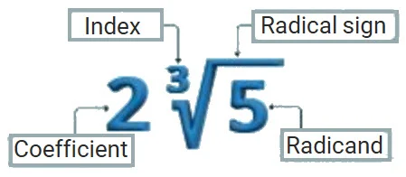 Diagram showing the parts of a radical: coefficient, index, and radicand. By Math Egypt - Mr. Ayman Hassan (رسم يوضح أجزاء الجذر: المعامل، الدليل، والمجذور. بواسطة ماث إيجيبت - مستر أيمن حسن)