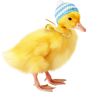 KBK_PrettyRabbit (12)