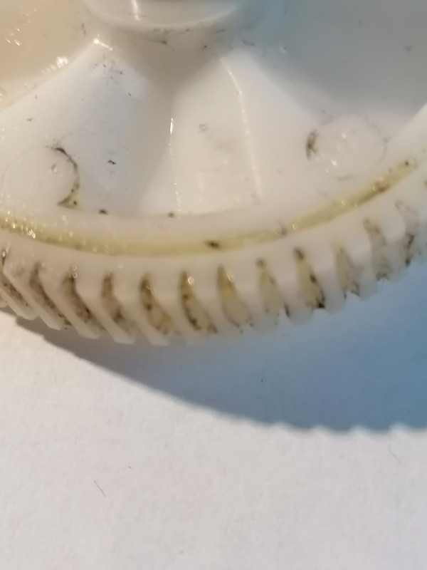 IMG_20210817_184758 - kopie