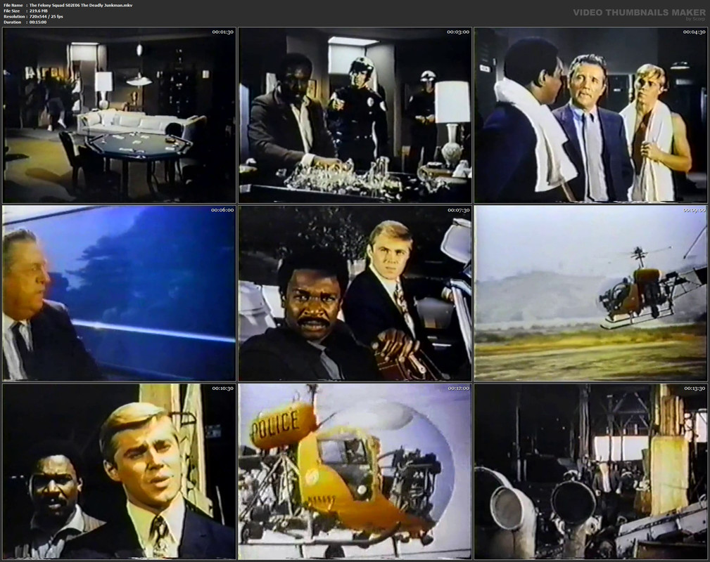 The Felony Squad S02E06 The Deadly Junkman.mkv