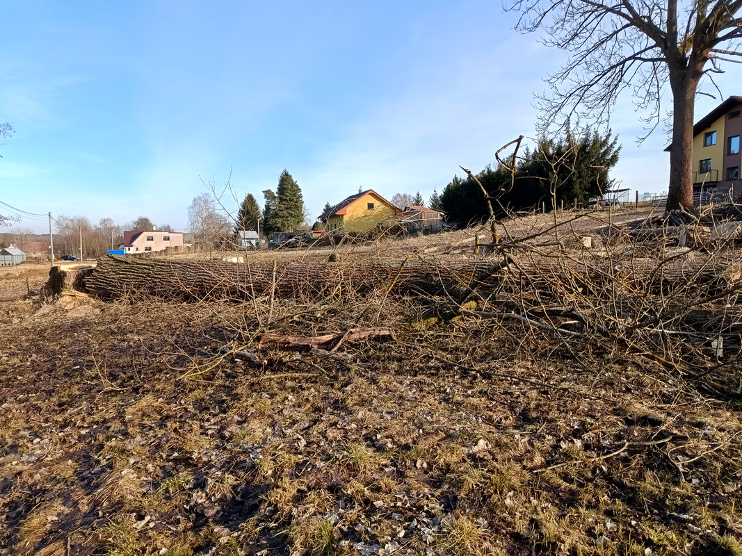 IMG_20250304_154715916_HDR