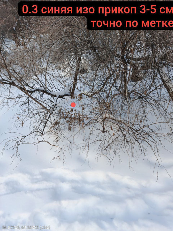 photo 2026 03 06 07 03 44