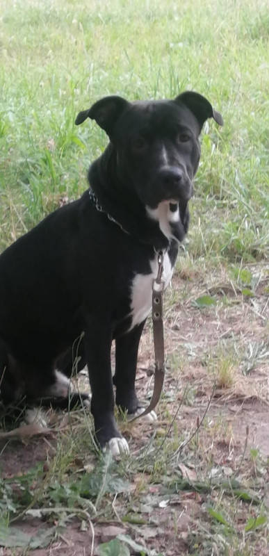 81E8D0E1-7DFD-492E-AD8E-D29CE9854424