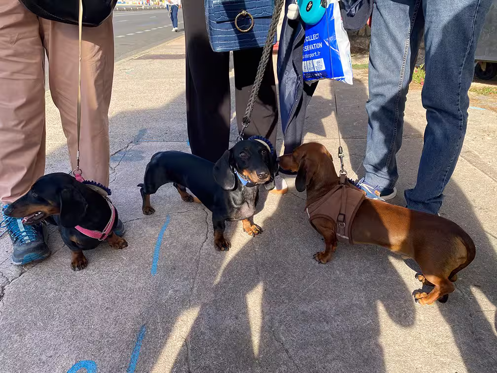 [Image: temp-Image-Sfgfj4.avif]