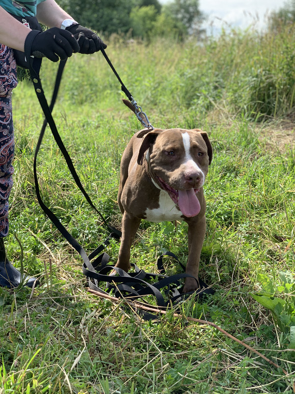 D5FF175C-F467-46DA-AA46-F22BD43CE716