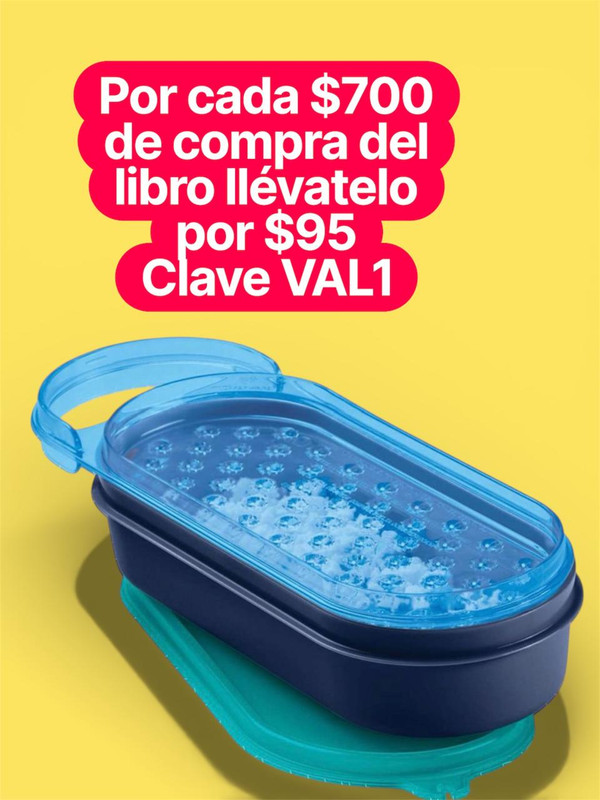 Whats App Image 2026 02 11 at 9 37 36 PM