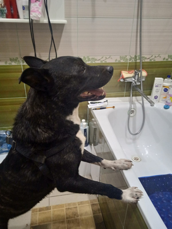 9AAAE003-D1AD-447D-8C9A-3A3CEAA55BD3