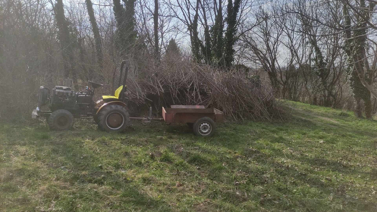 646399149 2238533140010266 7571706789986630000 n