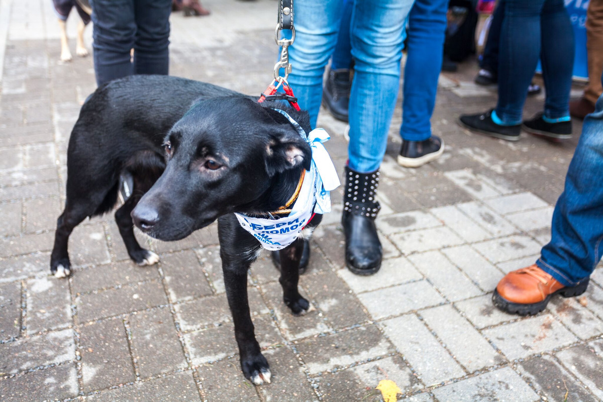 B6DB541F-E11D-4A37-908E-68702B3DD268