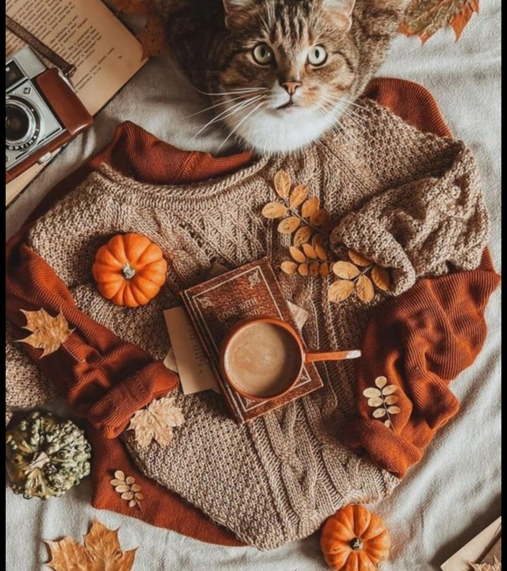 Screenshot_20251002_194628_Pinterest