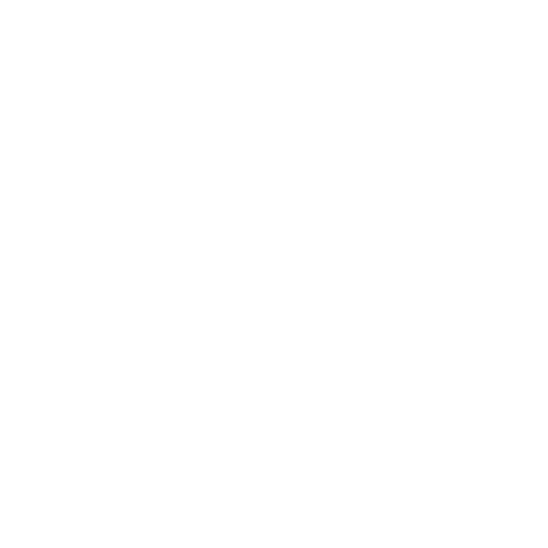 [Image: starfliers-logo-ship-only-no-bg.png]