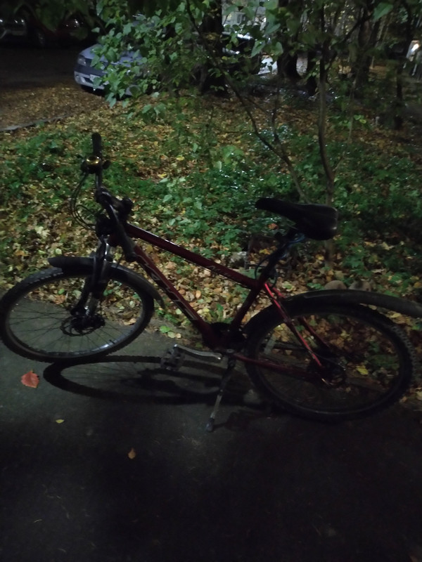 IMG-20221021-203918.jpg