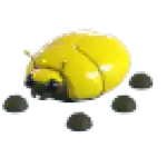 Giant Gold Scarab