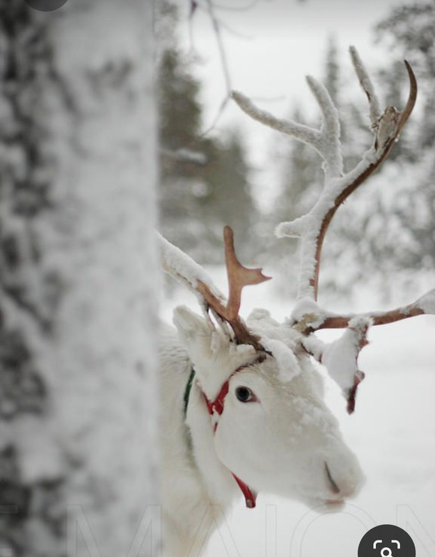 Screenshot_20231010_001651_Pinterest