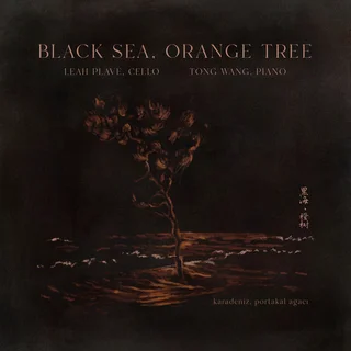 Leah Plave & Tong Wang • Black Sea, Orange Tree (2024)   .flac  96.0 kHz/24 bit